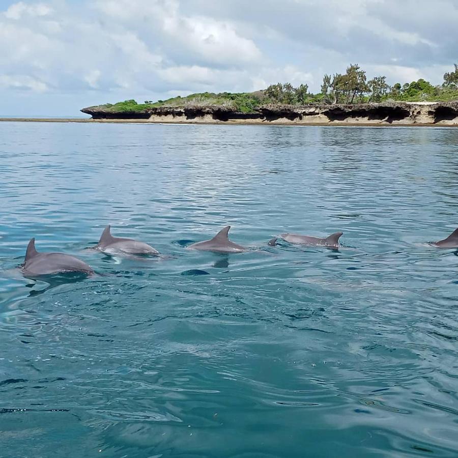 Wasini Raha Snorkeling And Diving公寓 外观 照片